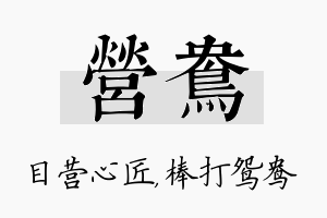 营鸯名字的寓意及含义