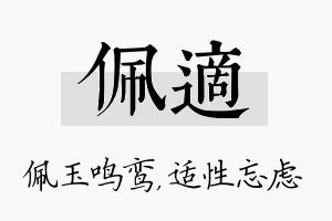 佩适名字的寓意及含义