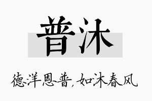 普沐名字的寓意及含义