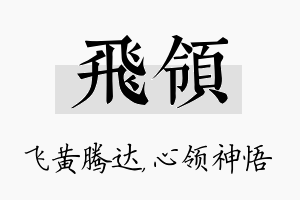 飞领名字的寓意及含义