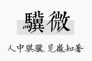 骥微名字的寓意及含义