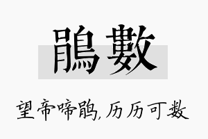 鹃数名字的寓意及含义