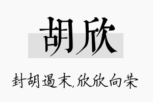 胡欣名字的寓意及含义