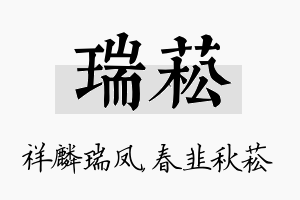 瑞菘名字的寓意及含义