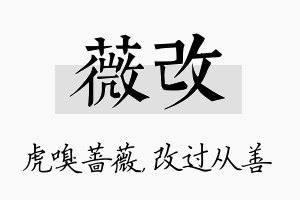 薇改名字的寓意及含义