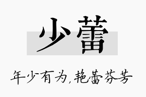 少蕾名字的寓意及含义