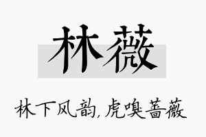 林薇名字的寓意及含义