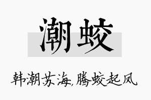 潮蛟名字的寓意及含义