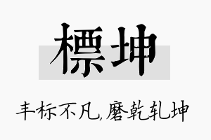 标坤名字的寓意及含义