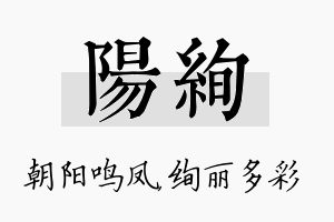 阳绚名字的寓意及含义