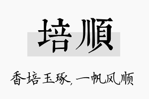 培顺名字的寓意及含义