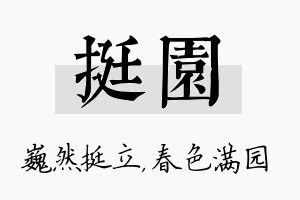 挺园名字的寓意及含义