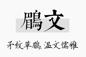 鹛文名字的寓意及含义