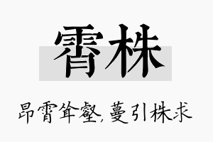 霄株名字的寓意及含义