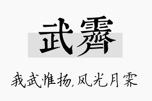 武霁名字的寓意及含义