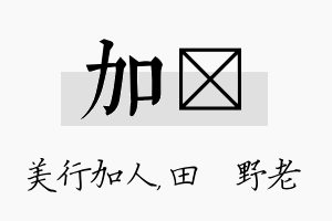 加畯名字的寓意及含义