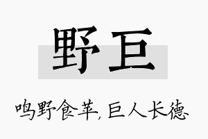 野巨名字的寓意及含义