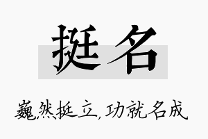 挺名名字的寓意及含义