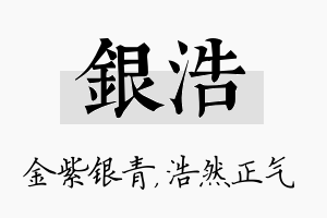 银浩名字的寓意及含义