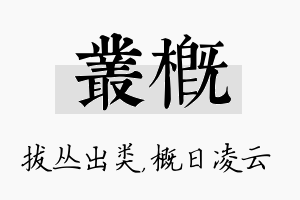 丛概名字的寓意及含义