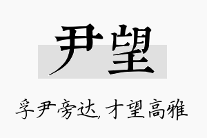 尹望名字的寓意及含义