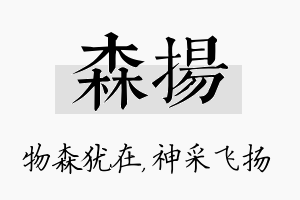 森扬名字的寓意及含义