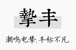 挚丰名字的寓意及含义