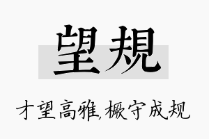 望规名字的寓意及含义