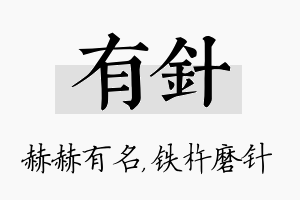 有针名字的寓意及含义