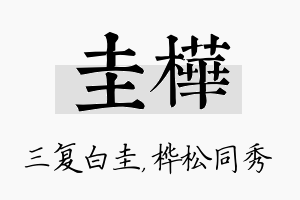 圭桦名字的寓意及含义