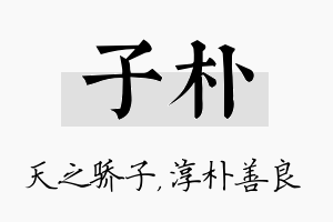 子朴名字的寓意及含义