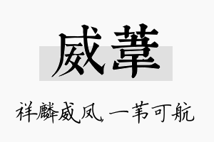 威苇名字的寓意及含义