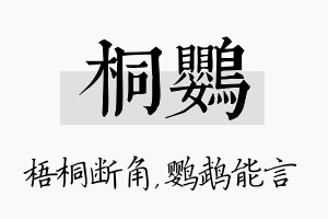 桐鹦名字的寓意及含义