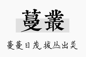 蔓丛名字的寓意及含义