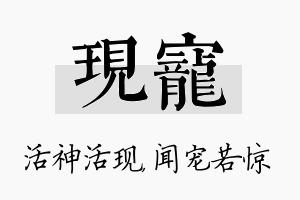 现宠名字的寓意及含义