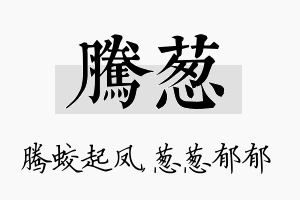 腾葱名字的寓意及含义