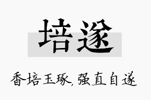 培遂名字的寓意及含义