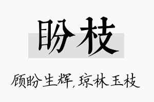 盼枝名字的寓意及含义