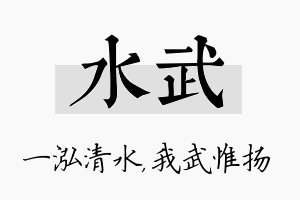 水武名字的寓意及含义