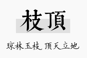 枝顶名字的寓意及含义