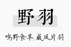 野羽名字的寓意及含义