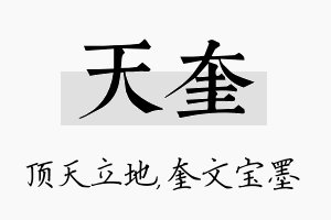 天奎名字的寓意及含义