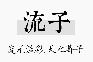 流子名字的寓意及含义