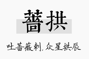 蔷拱名字的寓意及含义