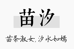 苗汐名字的寓意及含义