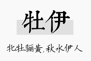 牡伊名字的寓意及含义