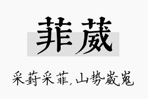 菲葳名字的寓意及含义