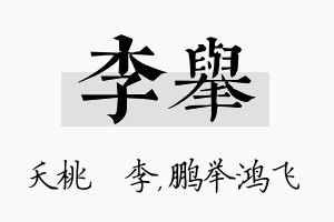 李举名字的寓意及含义