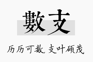 数支名字的寓意及含义