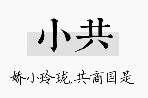 小共名字的寓意及含义